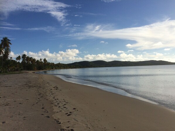Une plage où l’on voit des empreintes de pas menant à l’eau, des palmiers et, au loin, des collines sous un ciel partiellement nuageux.