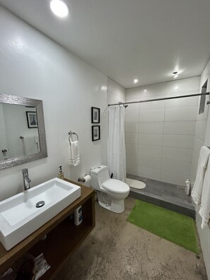 Shower, hair dryer, towels, soap - scree loft A  (Ensenada)