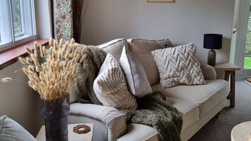 Smart TV, fireplace, video games, ping pong