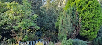 5 Star, Cosy, characterful thatch cottage in a designated area of natural beauty