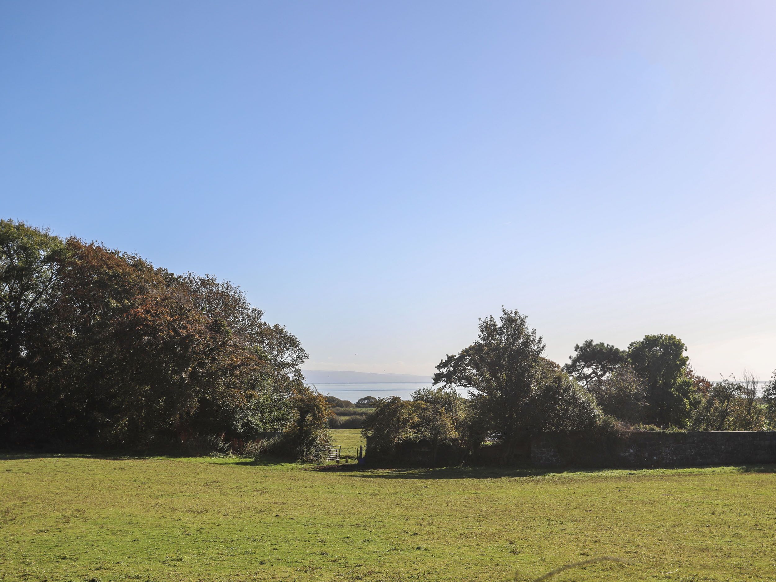 A grassy field with trees and a stone wall.