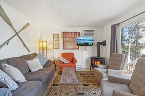 Smart TV, fireplace, video games, DVD player