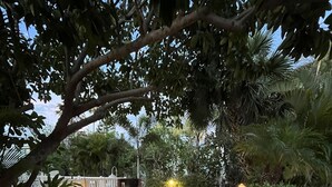 Un patio al aire libre con mesas y sillas, rodeado de exuberante vegetación y una valla blanca.