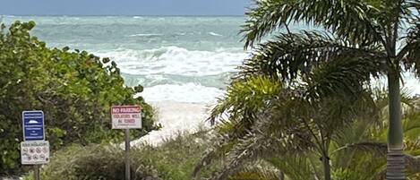 Chaises longues, serviettes de plage