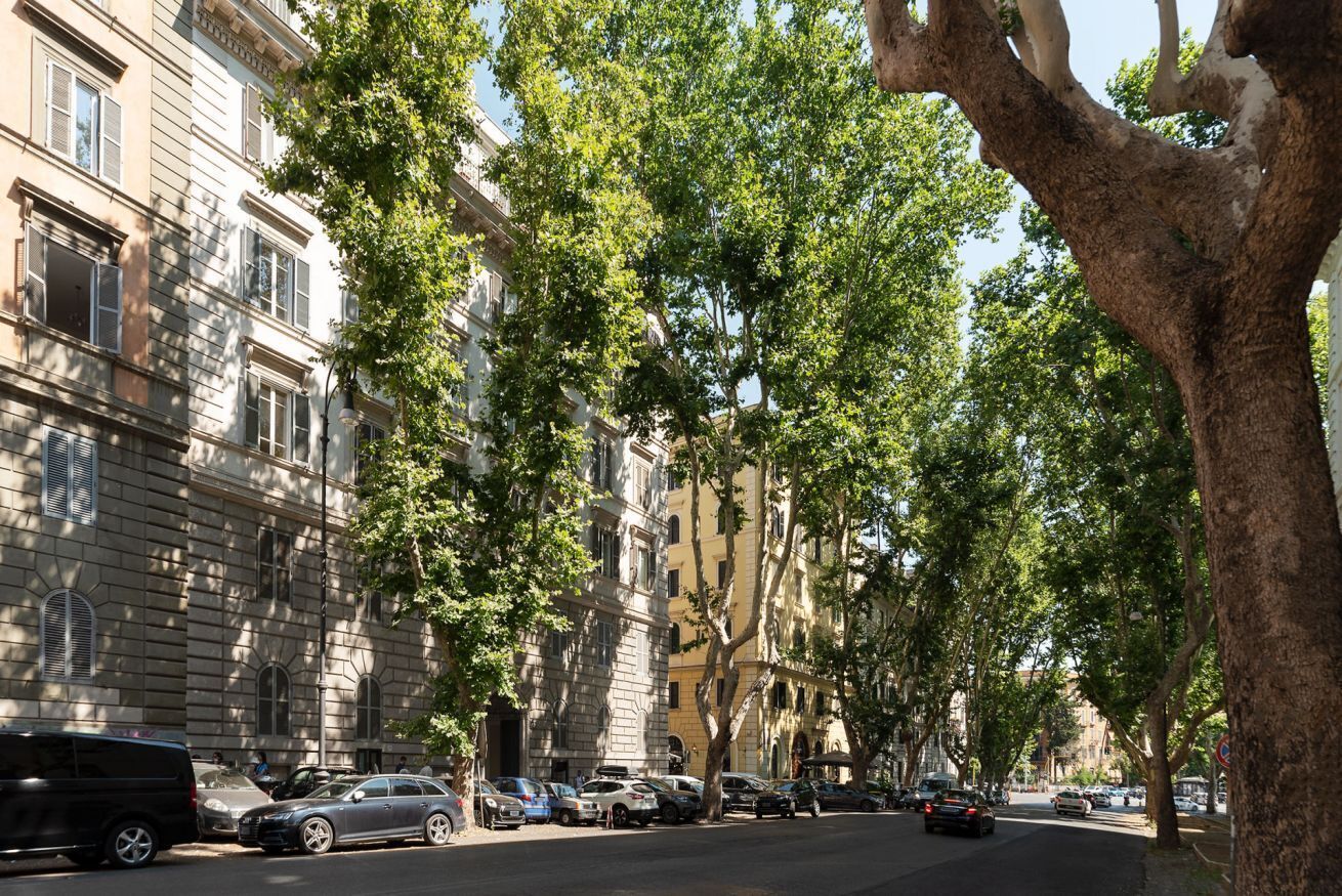 A tree-lined street with parked cars and buildings on either side.