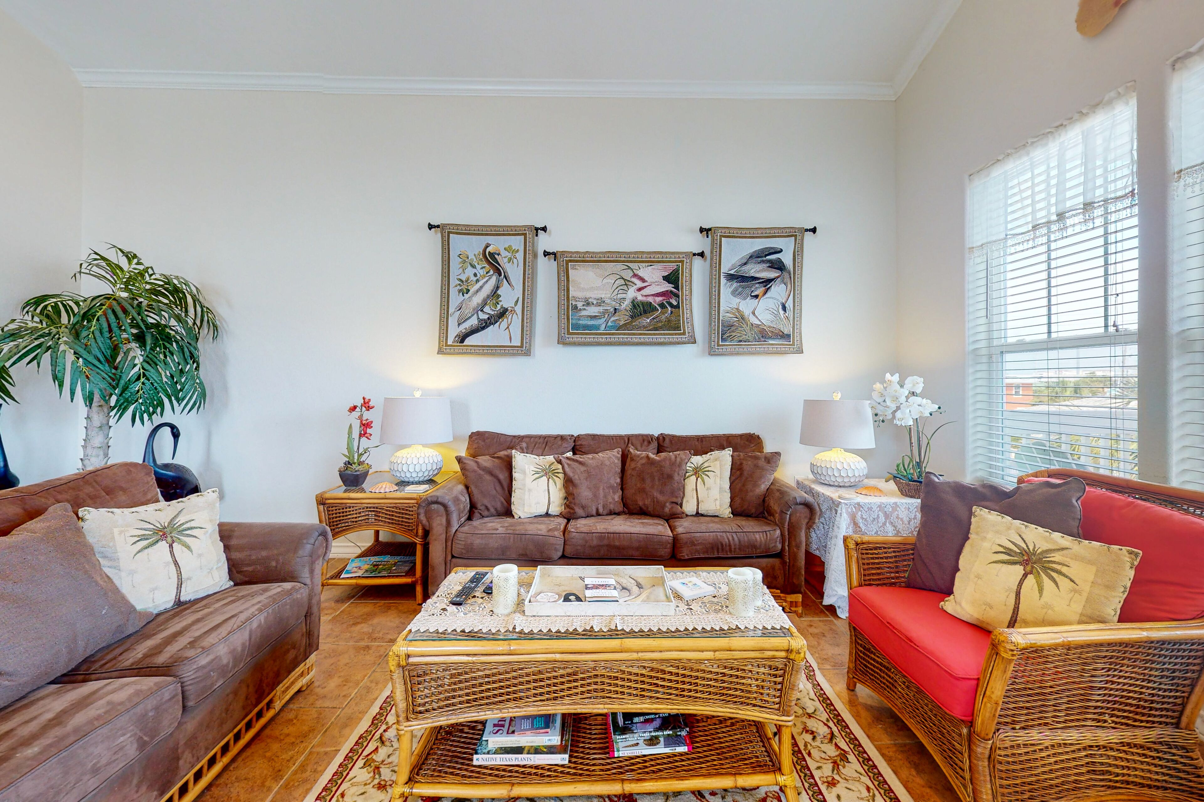 A living room with a brown sofa, a red sofa, a coffee table, and a large potted plant.