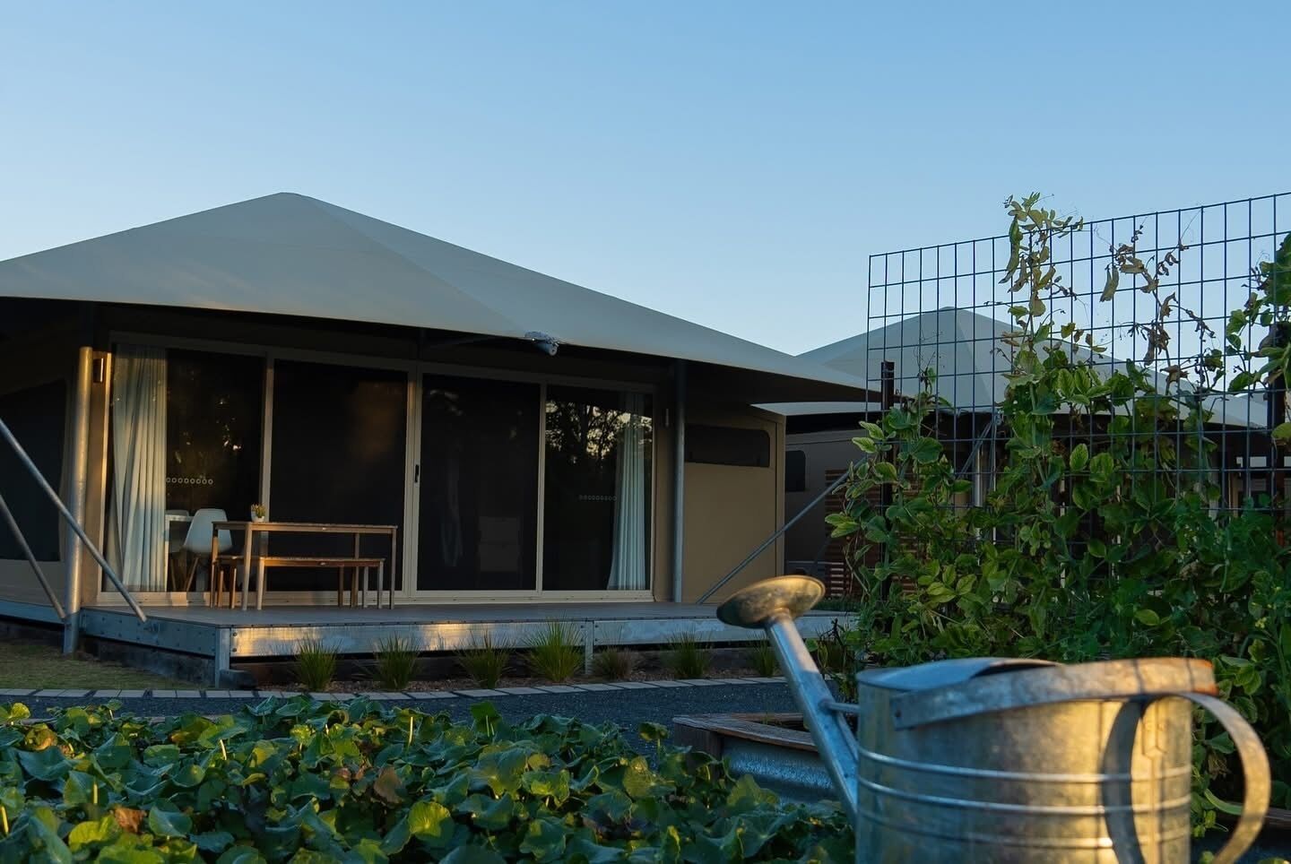 Ein modernes Haus mit einem großen Glasfenster, einer überdachten Terrasse und einem Garten mit Wasserpflanzen.