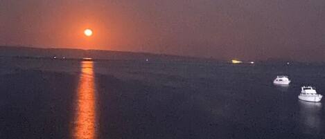 بالقرب من الشاطئ