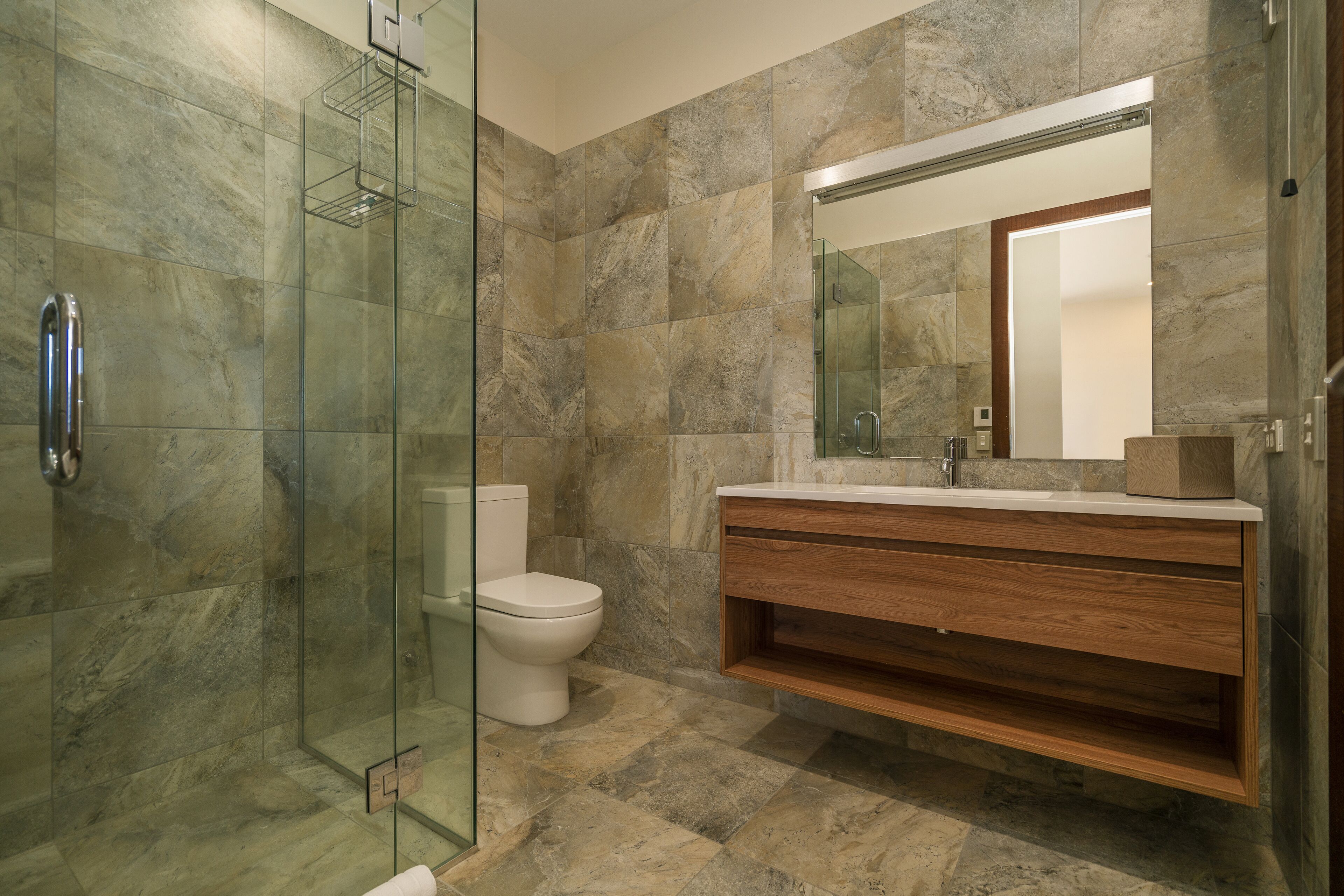 A modern bathroom with a glass shower enclosure, a toilet, and a wooden vanity with a mirror.