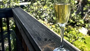 Ein Glas Weißwein auf einer Holzdiele mit Blick auf Bäume und einen klaren Himmel.