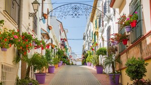 Une rue étroite bordée d’immeubles, chacun étant agrémenté de plantes et de fleurs en pot.
