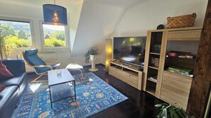 Smart TV, books, computer monitors