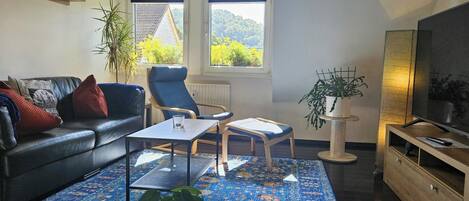 Smart TV, books, computer monitors