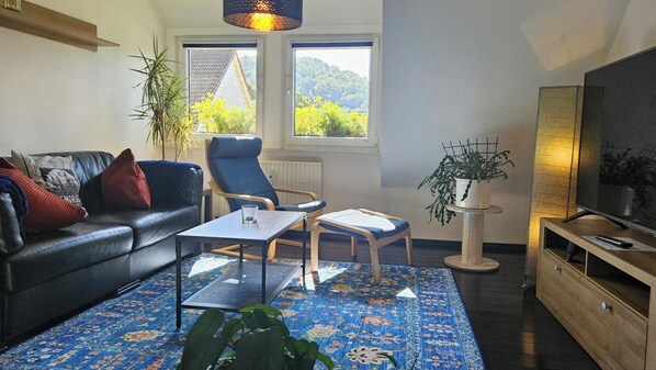 Smart TV, books, computer monitors - City vacation apartment for two adults and one child up to 3 years. (Bad Lauterberg im Harz)