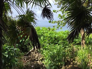 Property grounds - Keyhole Suite - Ground Level King (West End)