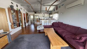 Smart TV, DVD player, books, stereo