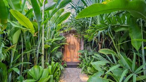 A stone pathway leading to a wooden door surrounded by lush tropical foliage. - Desa Hay Canggu (Tumbak Bayuh)