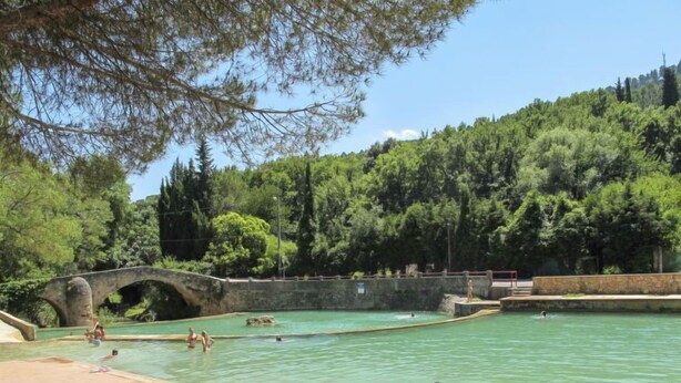 Una piscina con un puente de piedra, rodeada de abundante vegetación.