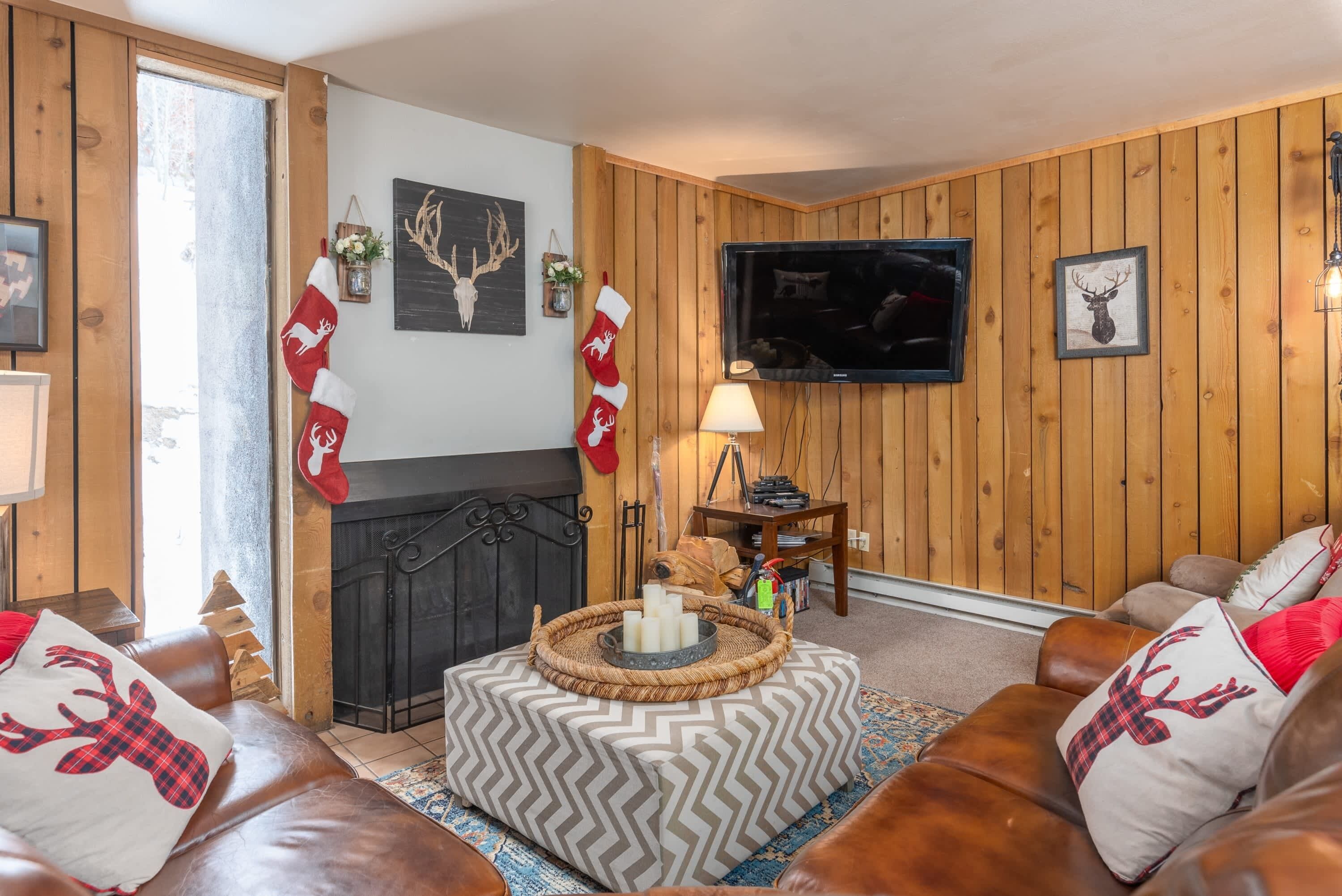 TV, lareira, DVD player