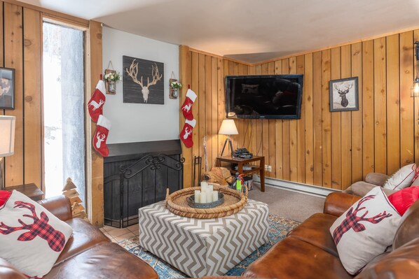 电视、壁炉、DVD 播放器