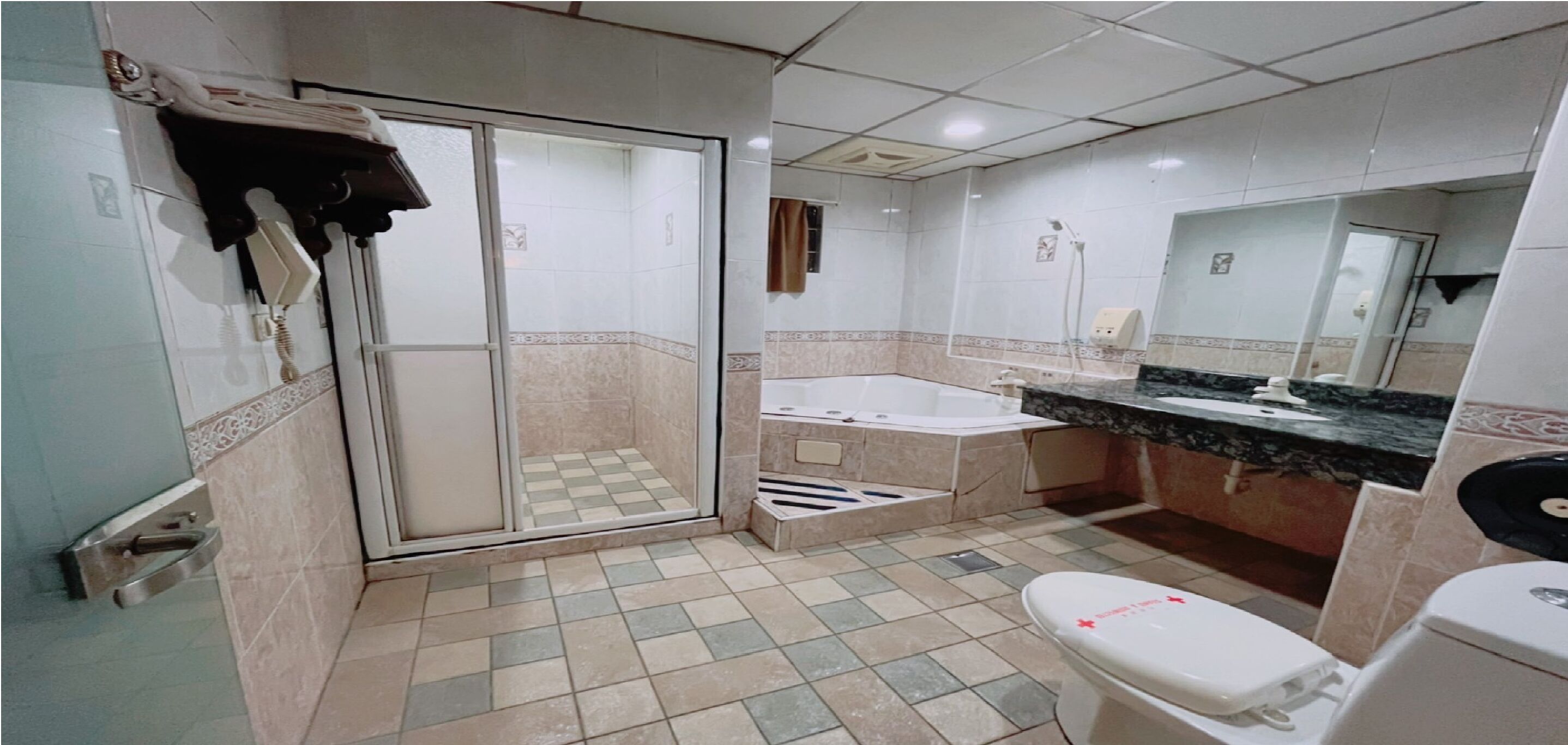 Separate bathtub and shower, jetted bath, rainfall showerhead