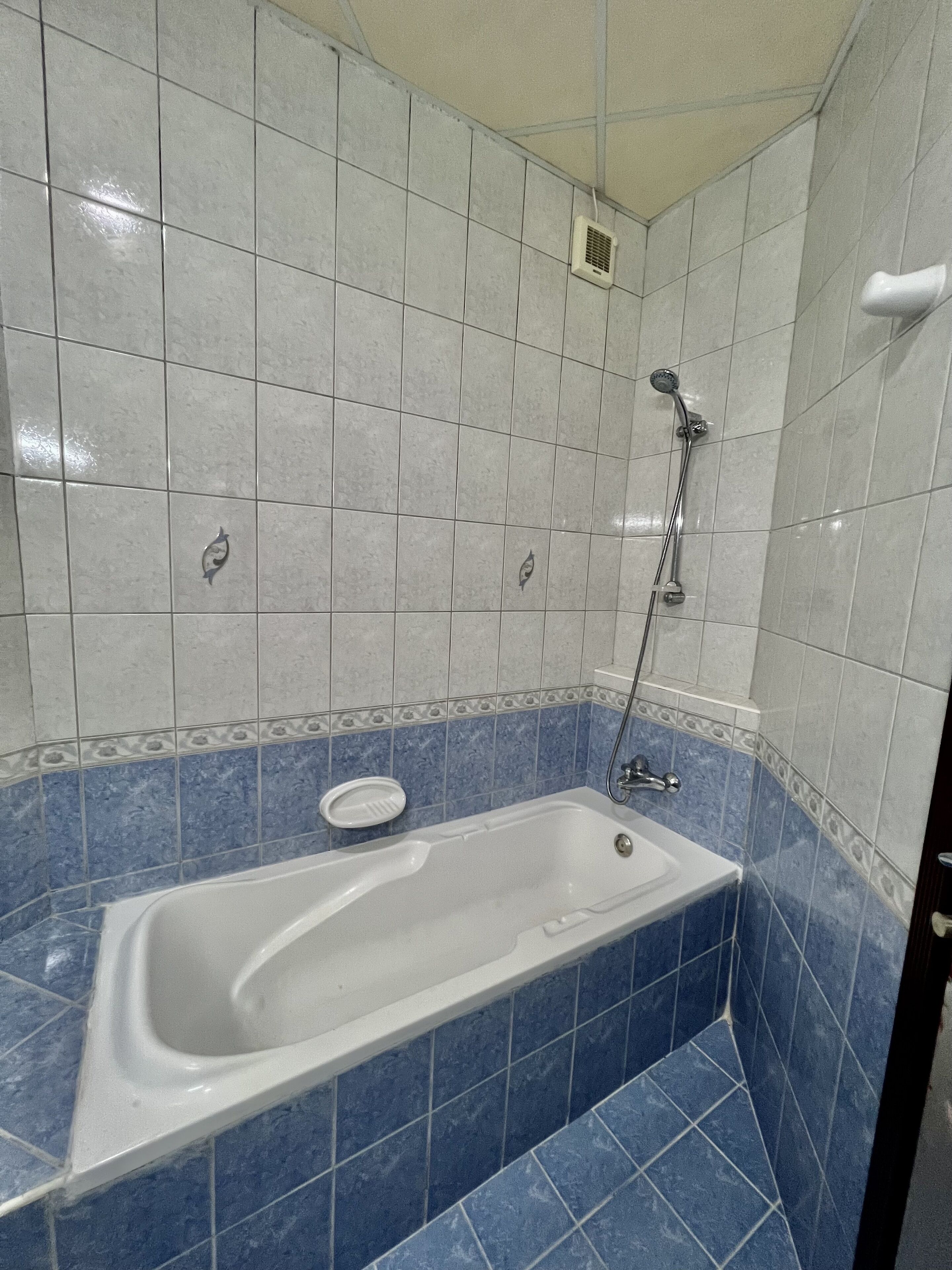 A bathroom with a bathtub, a shower, and a toilet.