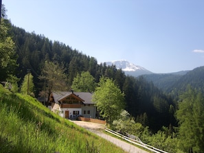 Exterior - Newly renovated farmhouse, sunny location, great hiking opportunities nearby (Ega)