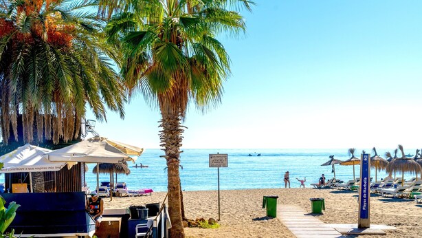 Palmujen reunustama ranta, jossa on aurinkotuoleja ja kyltti, jossa lukee: »Playa de Marbella».