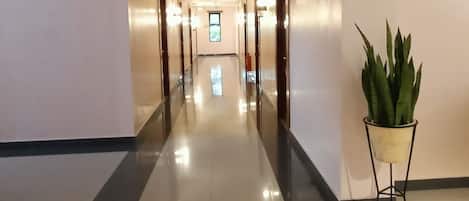 A long, well-lit corridor with a potted plant on the right.