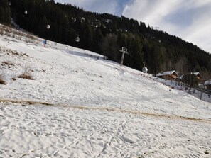 Snow and ski sports - Comfortable apartment in Châtel center, near cable cars (Châtel)