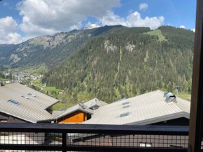 Property grounds - Cozy apartment in Châtel near slopes and lake, with balcony - 25sqm, parking included (Châtel)