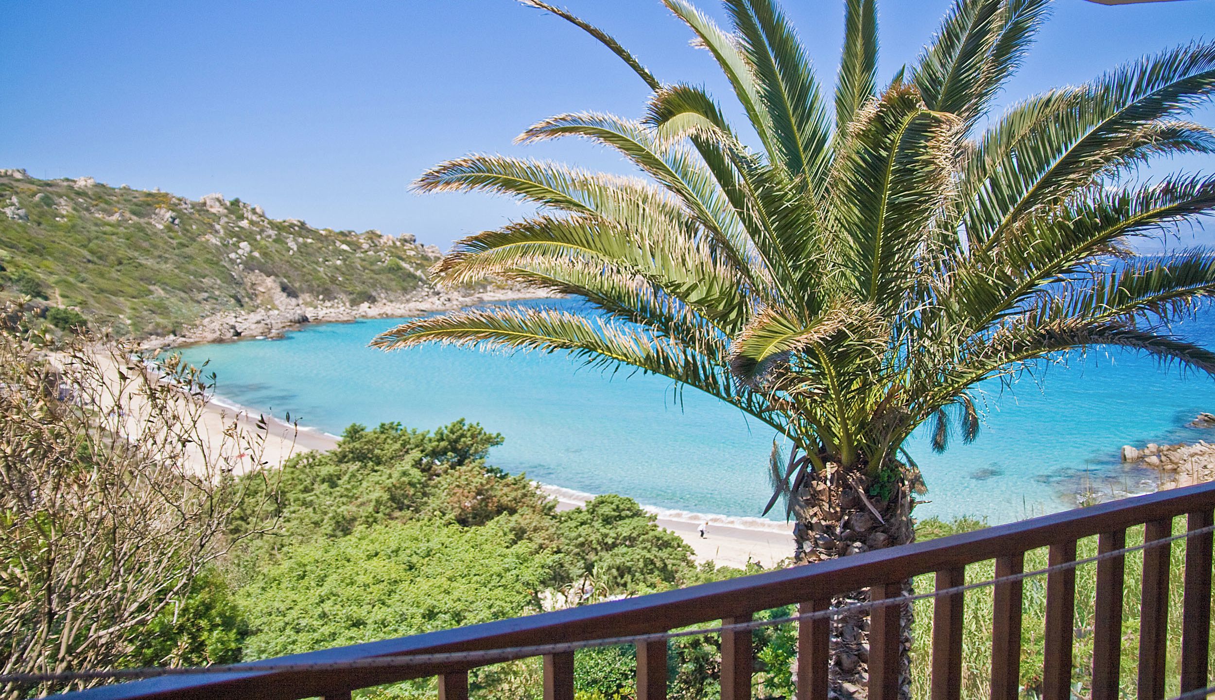 Une vue sur la côte, avec un palmier et une mer bleue et limpide.
