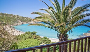 Vista costera con una palmera y un mar azul cristalino.
