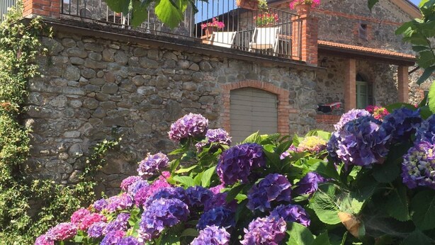 A stone building with a balcony, surrounded by hydrangea flowers. - La Casatorre di Ponticello. Casale di campagna con ampio giardino e piscina (Cantiere-ponticello)