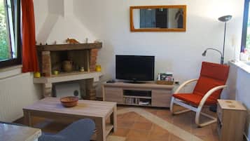 TV, caminetto, lettore DVD, libri