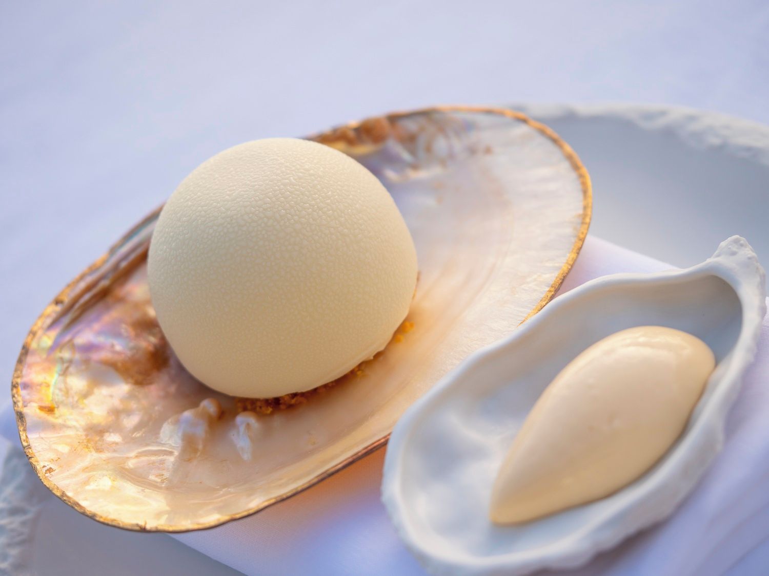 A single egg on a shell with a white background.