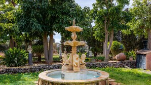A fountain with a tiered design, surrounded by a stone border and lush greenery. - Villa La Torre: historic watchtower with pool and restaurant at agrotourism resort (Campos)