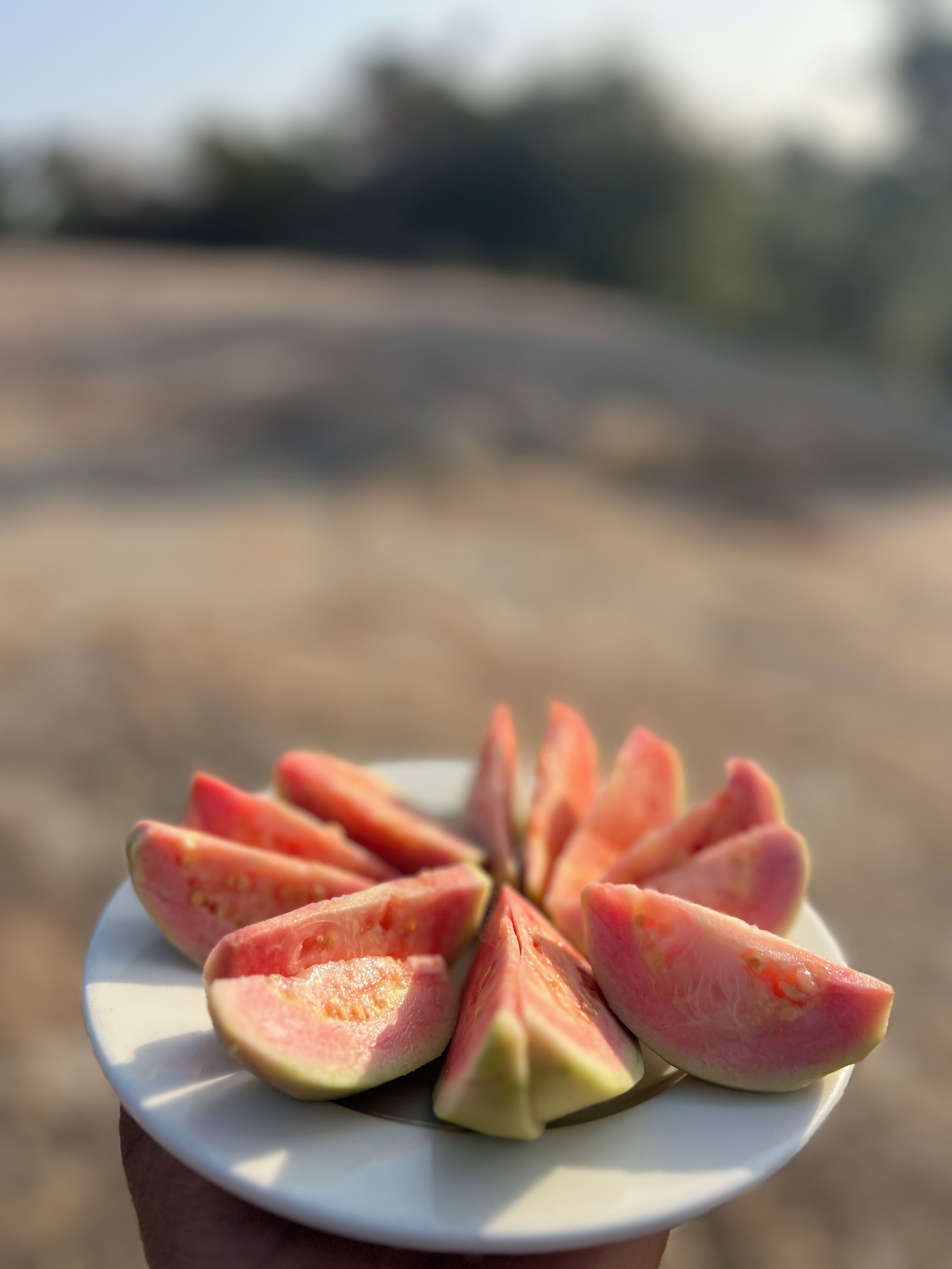 Una mano sostiene un plato con fruta cortada, posiblemente sandía.