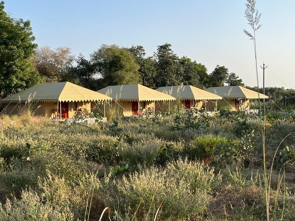 Une rangée de tentes jaunes aux portes rouges, installées dans une zone herbeuse, avec des arbres en arrière-plan.