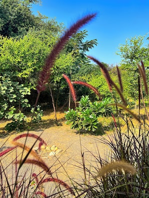 Garden view