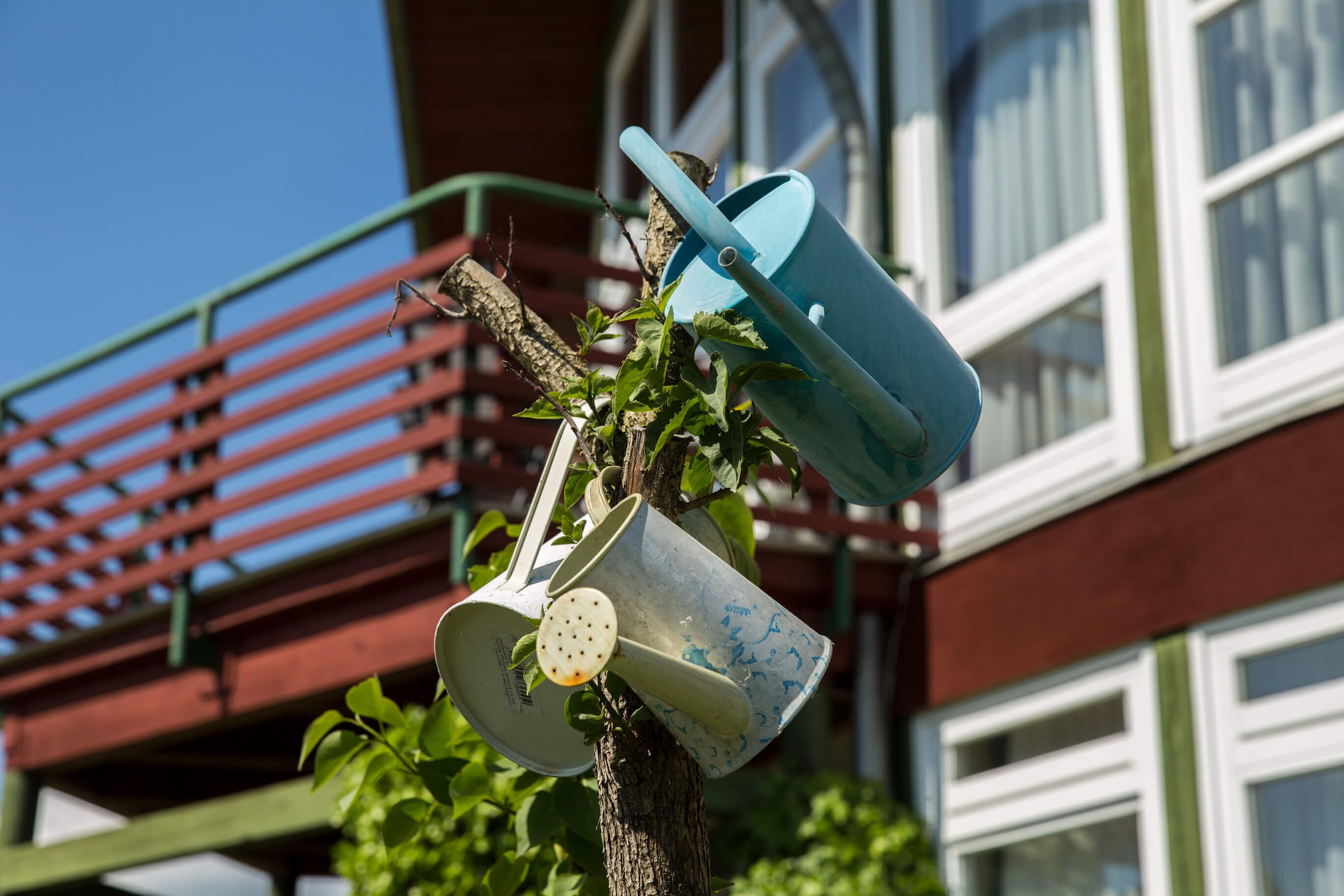 Un árbol con cubos metálicos colgando.