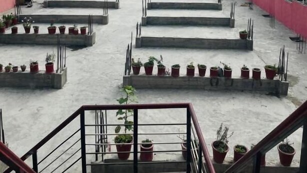 Terraza en la azotea con suelo de hormigón, plantas en macetas y baranda de metal.