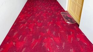 Un pasillo con alfombra roja que conduce a una puerta.