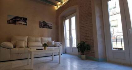 AMSTERDAM TRIANA APARTMENT