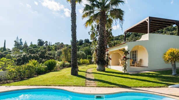 A swimming pool with a clear blue water, surrounded by a well-maintained lawn and palm trees. - Bandicoot Villa, Lagoa de Momprolé, Algarve (Loulé)