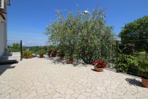 المنطقة المحيطة بالمنشأة