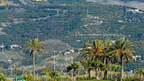 Un parcours de golf avec une chaîne de montagnes en arrière-plan, des palmiers et quelques bâtiments dispersés.