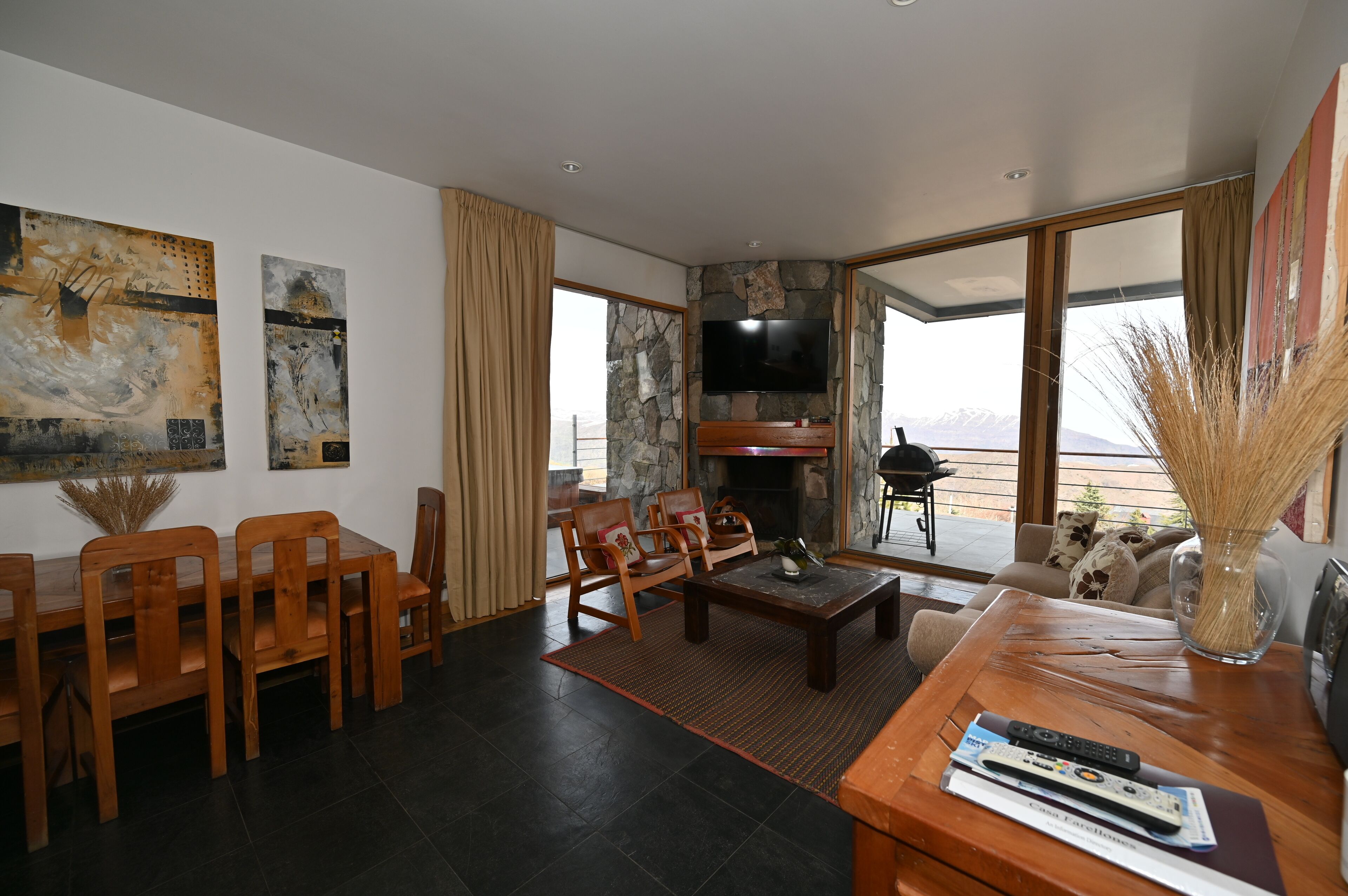 TV, lareira, DVD player, livros