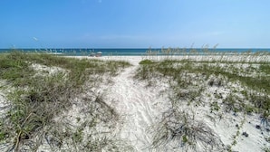 Ein sandiger Küstenpfad führt zum Meer, gesäumt von vereinzelten Pflanzen.