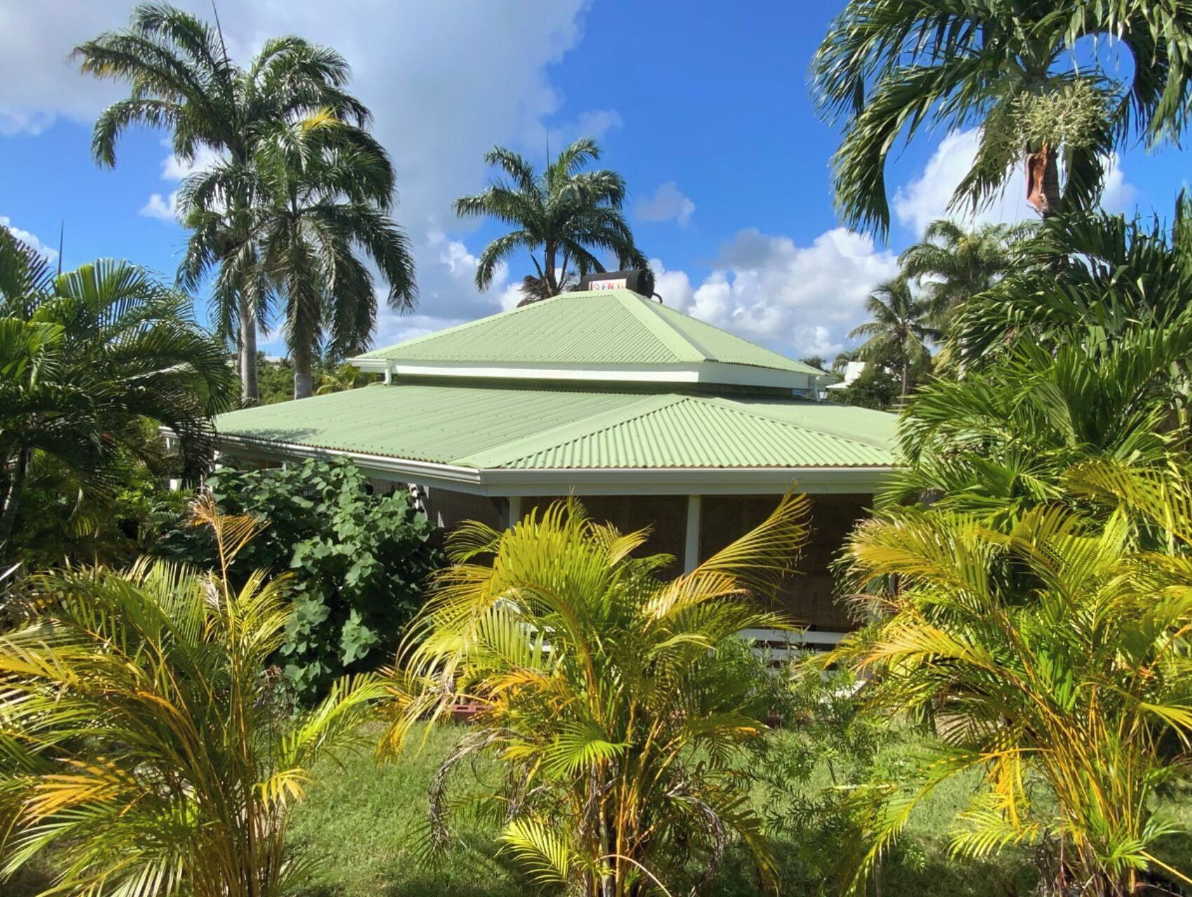 A building with a green roof surrounded by lush tropical vegetation.